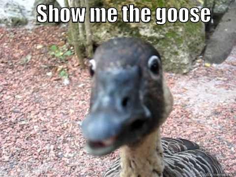          SHOW ME THE GOOSE                                              Misc