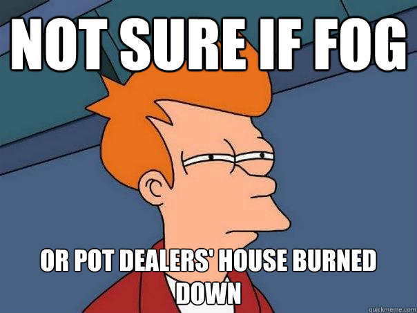 Not sure if fog Or pot dealers' house burned down  Futurama Fry