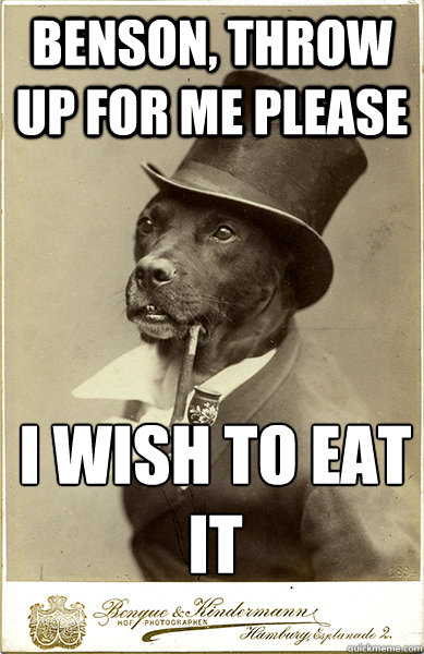 benson, throw up for me please i wish to eat it
  Old Money Dog