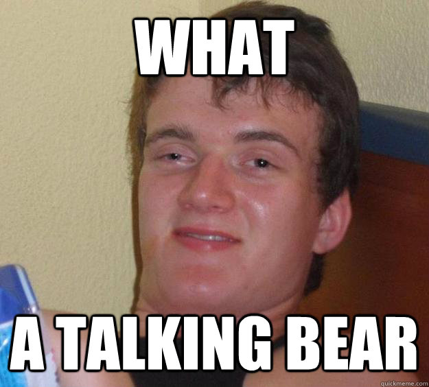 What A talking bear  10 Guy