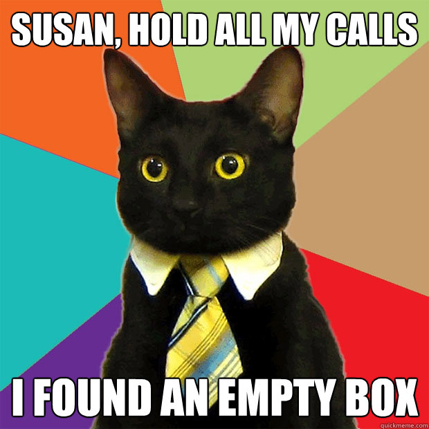 Susan, hold all my calls I found an empty box  Business Cat