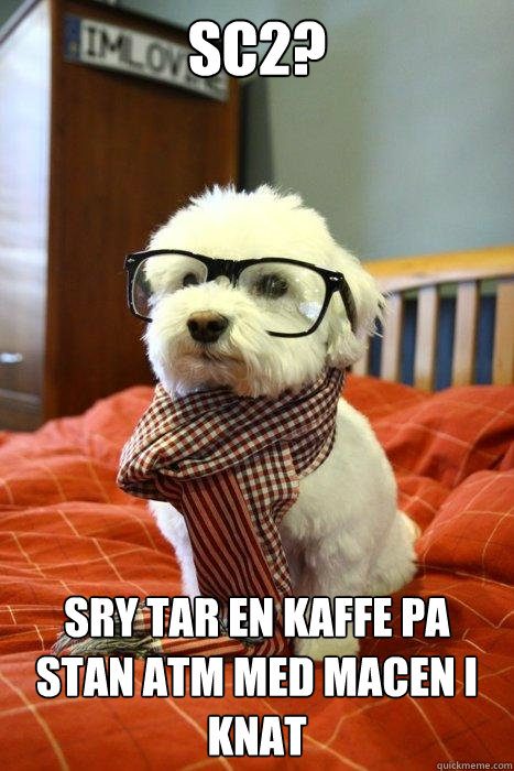 sc2? sry tar en kaffe pa stan atm med macen i knat  Hipster Dog