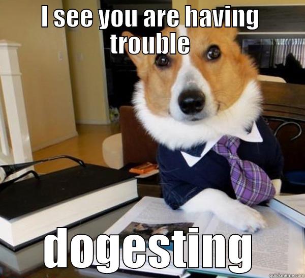 I SEE YOU ARE HAVING TROUBLE DOGESTING Lawyer Dog