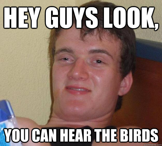 Hey guys look, you can hear the birds  10 Guy