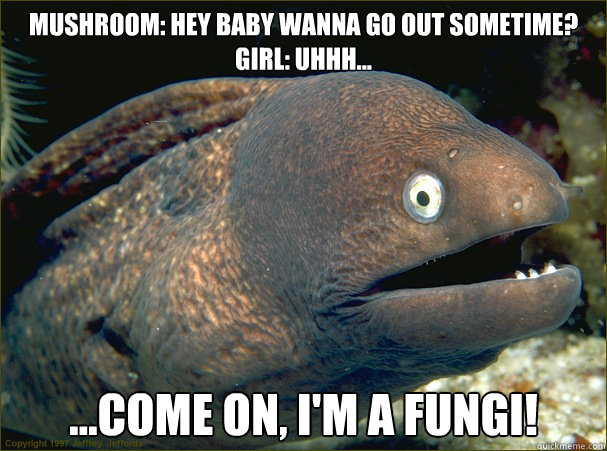 Mushroom: hey baby wanna go out sometime?
Girl: uhhh...
 ...come on, I'm a fungi!  Bad Joke Eel