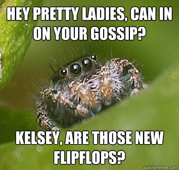 Hey pretty ladies, can in on your gossip? Kelsey, are those new flipflops? - Hey pretty ladies, can in on your gossip? Kelsey, are those new flipflops?  Misunderstood Spider