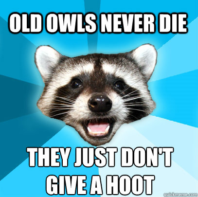 Old owls never die they just don't 
give a hoot  Lame Pun Coon