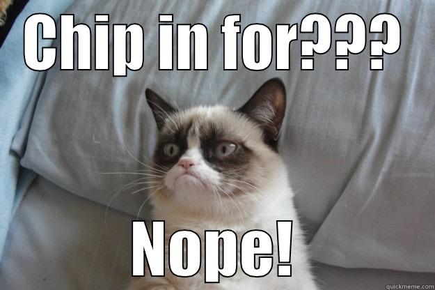 CHIP IN FOR??? NOPE! Grumpy Cat