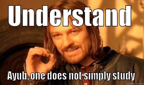 One does not simply study exercise science - UNDERSTAND AYUB, ONE DOES NOT SIMPLY STUDY Boromir