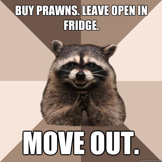 Buy prawns. Leave open in fridge. Move out. - Buy prawns. Leave open in fridge. Move out.  Evil Plotting Raccoon