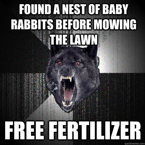 Found a nest of baby rabbits before mowing the lawn Free Fertilizer  Insanity Wolf