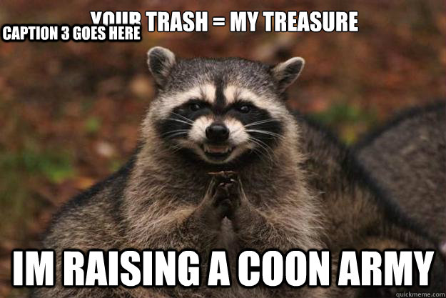 your trash = my treasure im raising a coon army Caption 3 goes here  Evil Plotting Raccoon