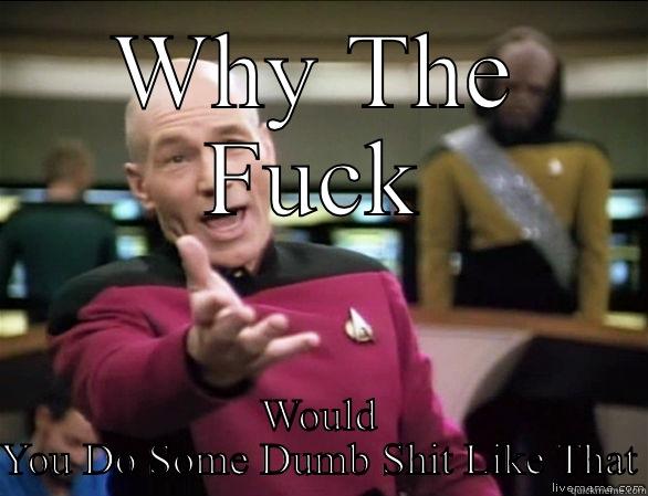 WHY THE FUCK WOULD YOU DO SOME DUMB SHIT LIKE THAT Annoyed Picard HD