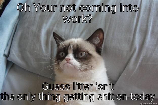 Your not coming into work - OH YOUR NOT COMING INTO WORK? GUESS LITTER ISN'T THE ONLY THING GETTING SHIT ON TODAY Grumpy Cat