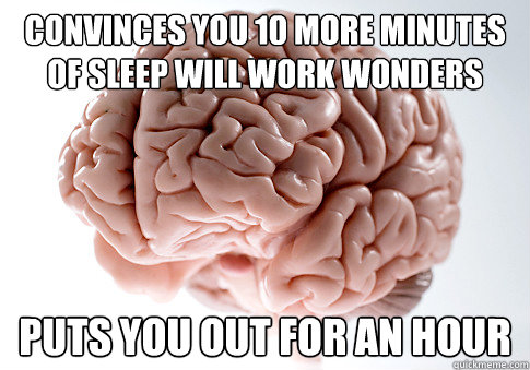 Convinces you 10 more minutes of sleep will work wonders Puts you out for an hour  Scumbag Brain