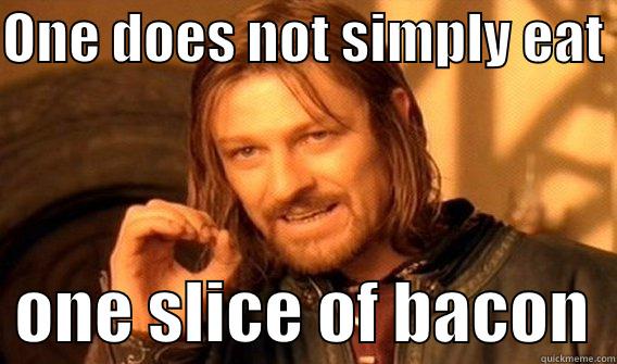 ONE DOES NOT SIMPLY EAT    ONE SLICE OF BACON  One Does Not Simply