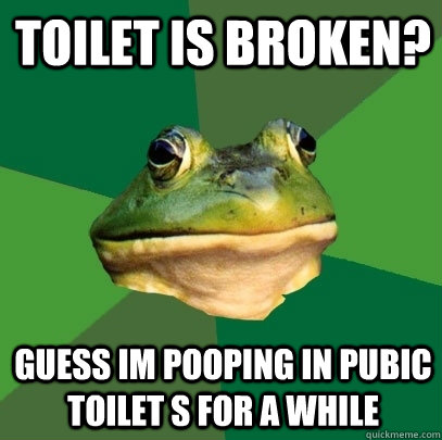 Toilet is broken?  Guess im pooping in pubic toilet s for a while  Foul Bachelor Frog