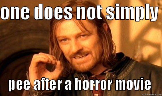 ONE DOES NOT SIMPLY  PEE AFTER A HORROR MOVIE One Does Not Simply