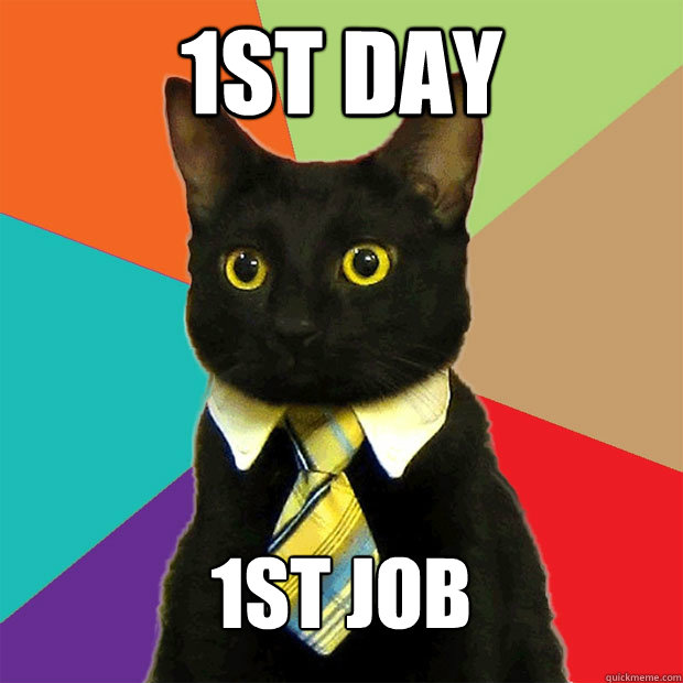 1st Day  1st JOB  Business Cat