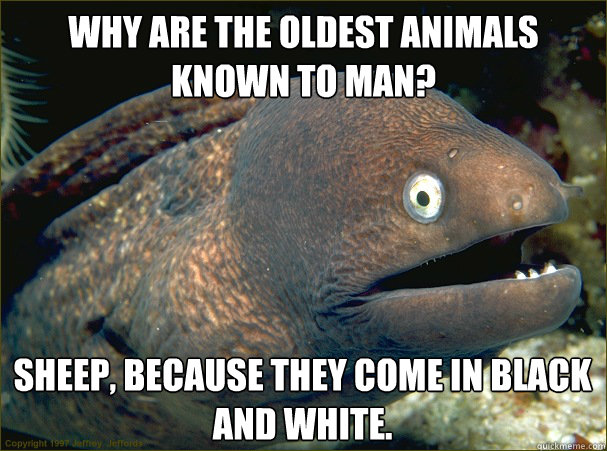 Why are the oldest animals known to man? Sheep, because they come in black and white.  Bad Joke Eel