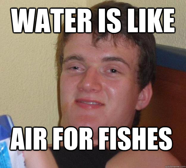 WATER IS LIKE AIR FOR FISHes  10 Guy