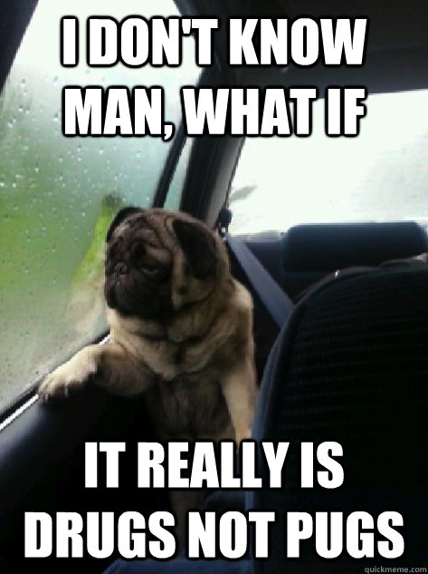 I don't know man, what if it really is drugs not pugs  Introspective Pug