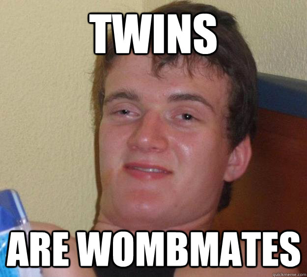 Twins  are wombmates   10 Guy