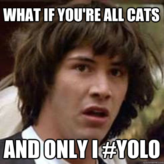 What if you're all cats and only I #YOLO - What if you're all cats and only I #YOLO  conspiracy keanu