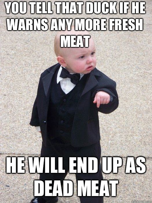 You tell that duck if he warns any more fresh meat He will end up as dead meat   Baby Godfather