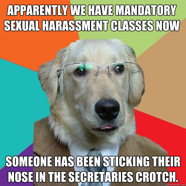 Apparently we have mandatory Sexual harassment classes now SOMEONE has been sticking their nose in the secretaries crotch.  Business Dog