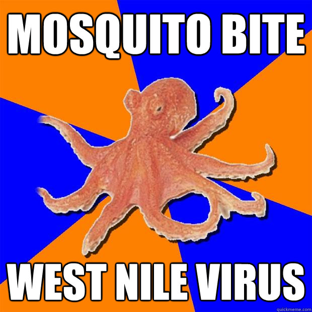 Mosquito bite west nile virus  Online Diagnosis Octopus