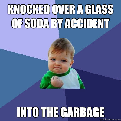 knocked over a glass of soda by accident into the garbage  Success Kid