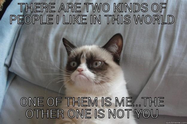 There are two kinds of people I like - THERE ARE TWO KINDS OF PEOPLE I LIKE IN THIS WORLD ONE OF THEM IS ME...THE OTHER ONE IS NOT YOU Grumpy Cat