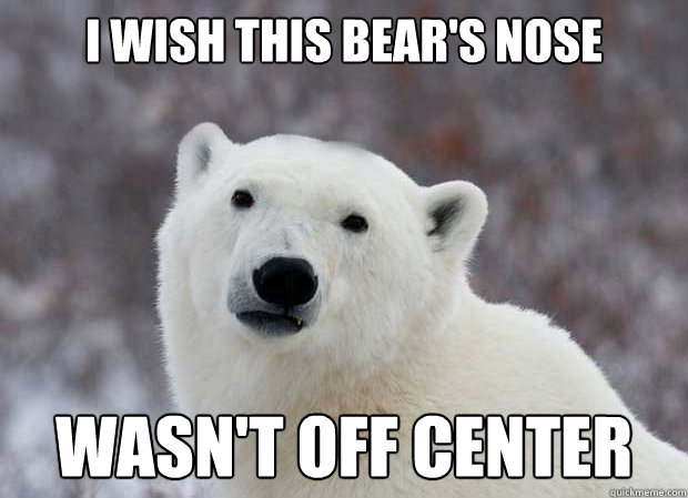 i wish this bear's nose wasn't off center  Popular Opinion Polar Bear