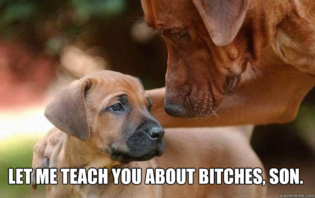 Let me teach you about bitches, son.  Advice Dog