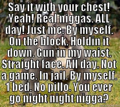 SAY IT WITH YOUR CHEST! YEAH! REAL NIGGAS. ALL DAY! JUST ME. BY MYSELF. ON THE BLOCK. HOLDIN IT DOWN. GUN IN MY WAIST. STRAIGHT FACE. ALL DAY. NOT A GAME. IN JAIL. BY MYSELF. 1 BED. NO PILLO. YOU EVER GO NIGHT NIGHT NIGGA?  Misc