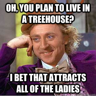 Oh, you plan to live in a treehouse? I bet that attracts all of the ladies  Condescending Wonka