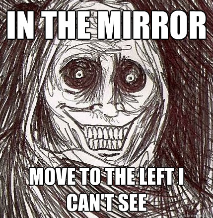 In the mirror move to the left I can't see  Horrifying Houseguest