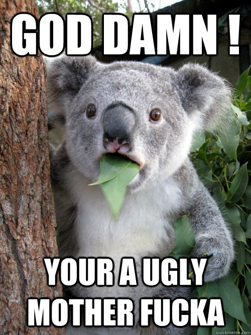 god damn ! your a ugly mother fucka  koala bear