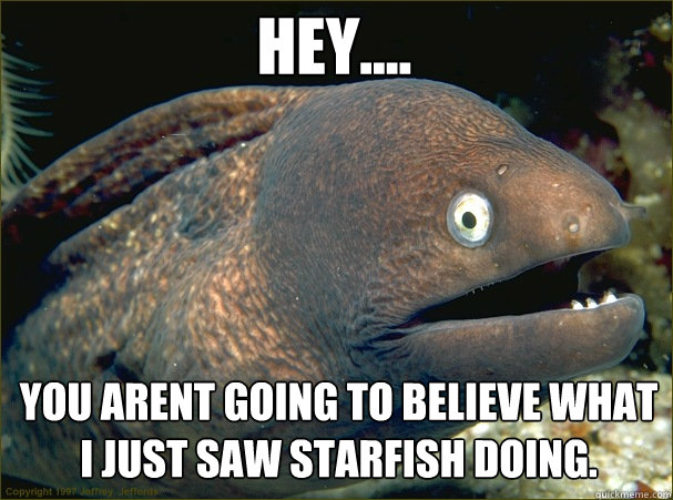 Hey.... You arent going to believe what I just saw starfish doing. - Hey.... You arent going to believe what I just saw starfish doing.  Caught in the act Moray