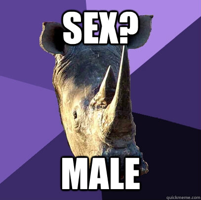 sex? Male  Sexually Oblivious Rhino