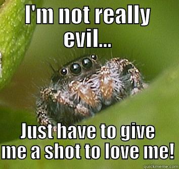 I'M NOT REALLY EVIL... JUST HAVE TO GIVE ME A SHOT TO LOVE ME! Misunderstood Spider