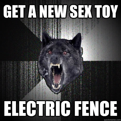 Get a New Sex Toy Electric Fence  Insanity Wolf