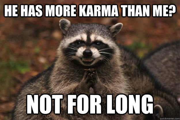 He has more karma than me? Not For Long  Evil Plotting Raccoon