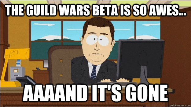 The guild wars beta is so awes... Aaaand it's gone  aaaand its gone