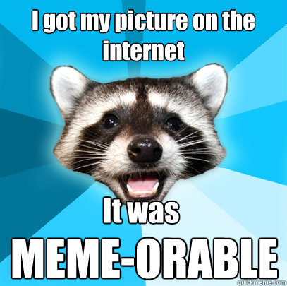 I got my picture on the internet MEME-ORABLE It was - I got my picture on the internet MEME-ORABLE It was  Lame Pun Coon