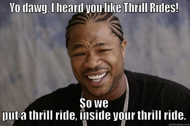 YO DAWG, I HEARD YOU LIKE THRILL RIDES! SO WE PUT A THRILL RIDE, INSIDE YOUR THRILL RIDE. Xzibit meme