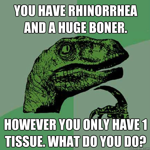 You have rhinorrhea and a huge boner. However you only have 1 tissue. What do you do? - You have rhinorrhea and a huge boner. However you only have 1 tissue. What do you do?  Philosoraptor