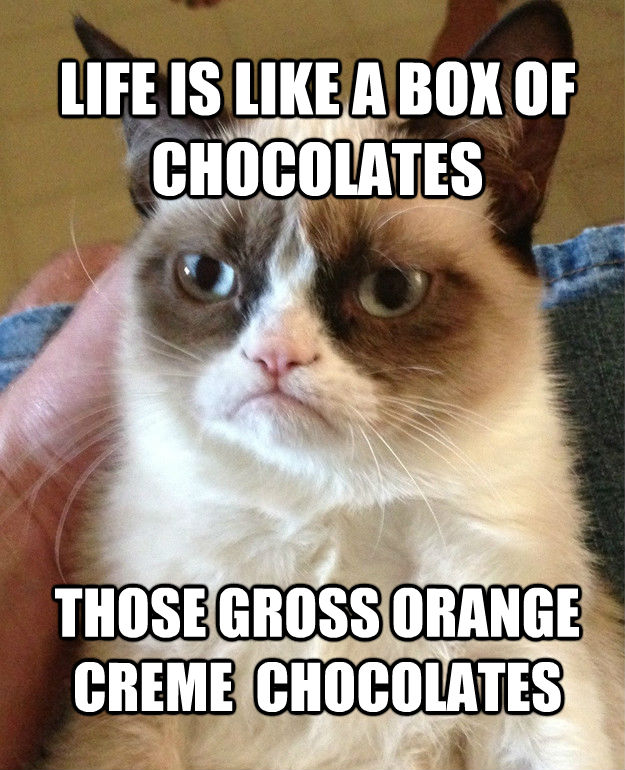 LIFE IS LIKE A BOX OF CHOCOLATES THOSE GROSS ORANGE CREME  CHOCOLATES  Grumpy Cat