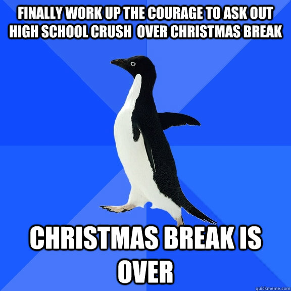 Finally work up the courage to ask out high school crush  over christmas break christmas break is over  Socially Awkward Penguin